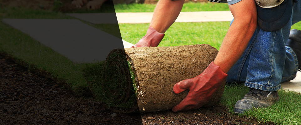 Wittmann Landscapers